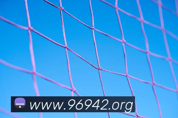 奖项4